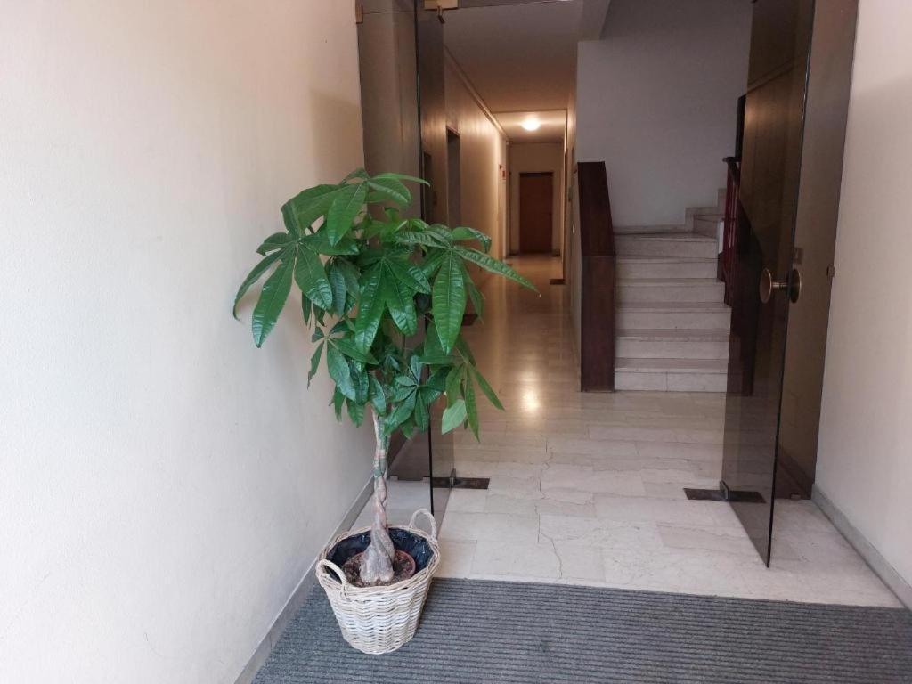 In Blu Santo Ospedale Padova